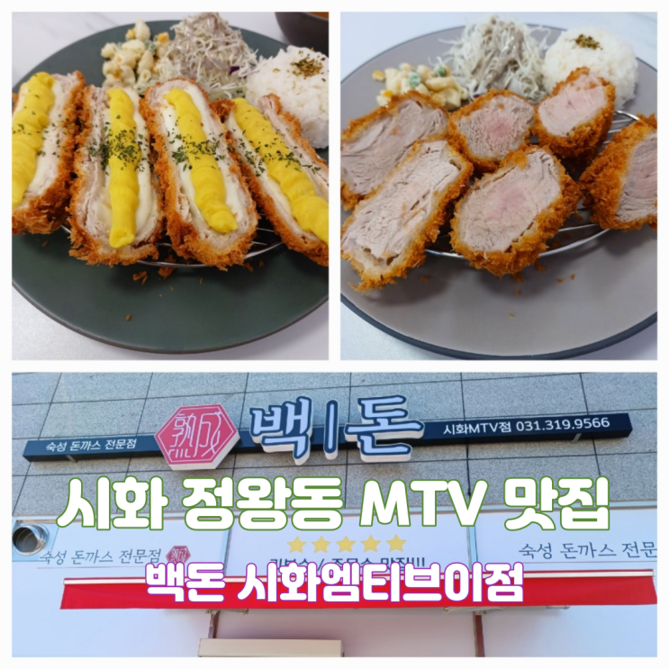 시화MTV맛집 백돈시화엠티브이점 시흥 돈까스 맛집 정왕동 돈까스 점심 시화MTV맛집 백돈시화엠티브이점 시흥 돈까스 맛집 정왕동 돈까스 점심