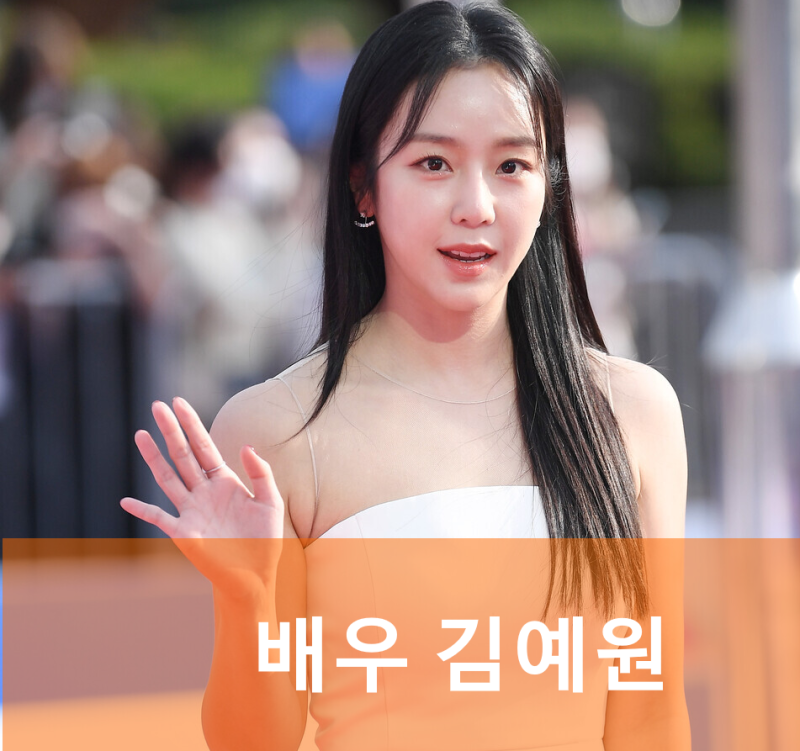 예원 갯바위 사건 이태임 욕설 논란이란? (김예원 프로필 나이 작품활동 필모그래피)
