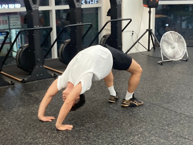  다산 크로스핏 효과 대박인 히트랩