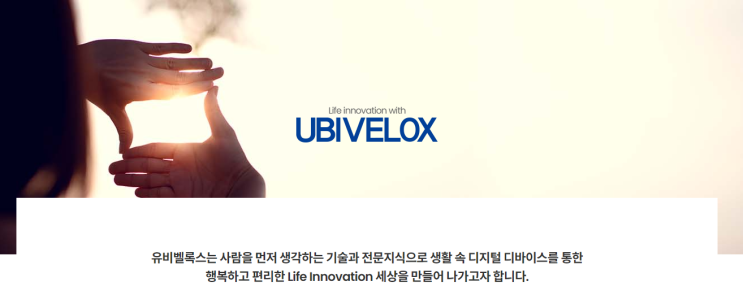  유비벨록스(코스닥 089850)의 역사와 주가