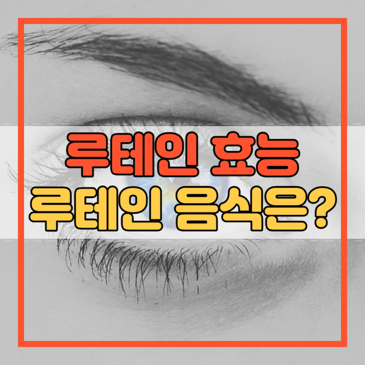  루테인 효능 효과 음식 무엇이 있을까요?