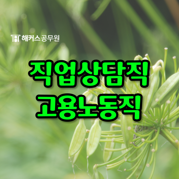  직업상담직공무원과 고용노동직공무원의 차이점은?