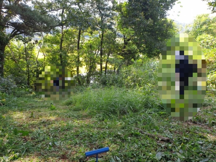  2023년 전라북도 무주군 무풍면 증산리 5기벌초 고인돌장의사
