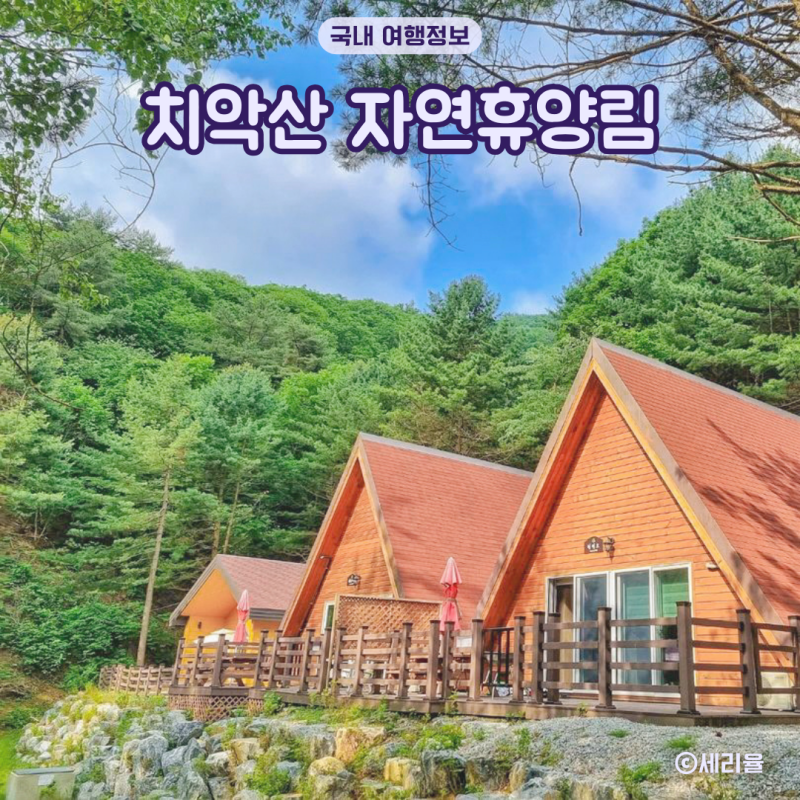 원주 숙소 치악산 자연휴양림 계곡 오소리 소나무 황토방 고라니