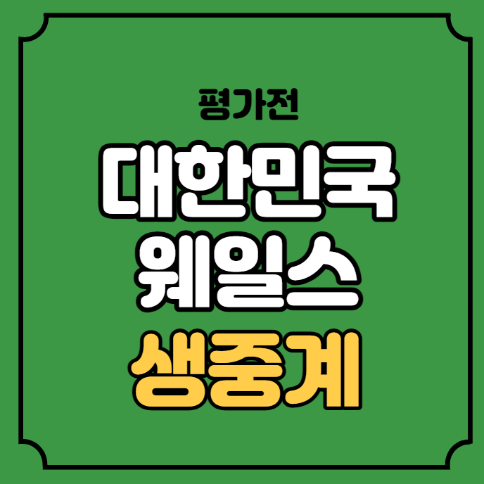 중계 <b>평가전</b> 2023년 <b>9월</b> 8일 경기 일정 카디프 <b>원정</b> 친선경기 tv... 