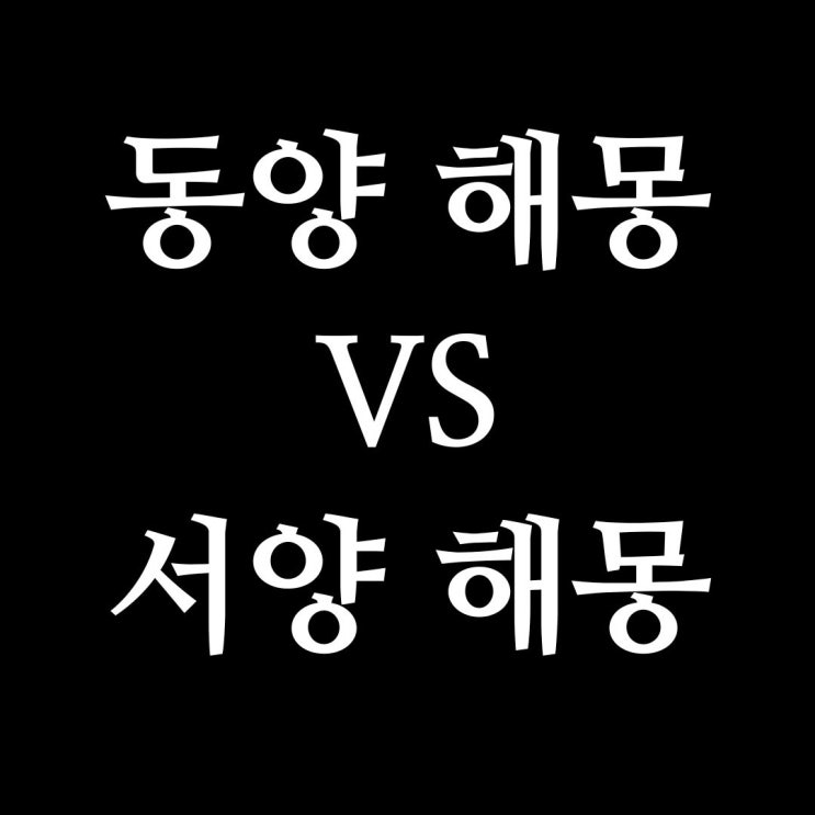  서양과 동양의 꿈 해석: 문화와 철학이 만나는 접점