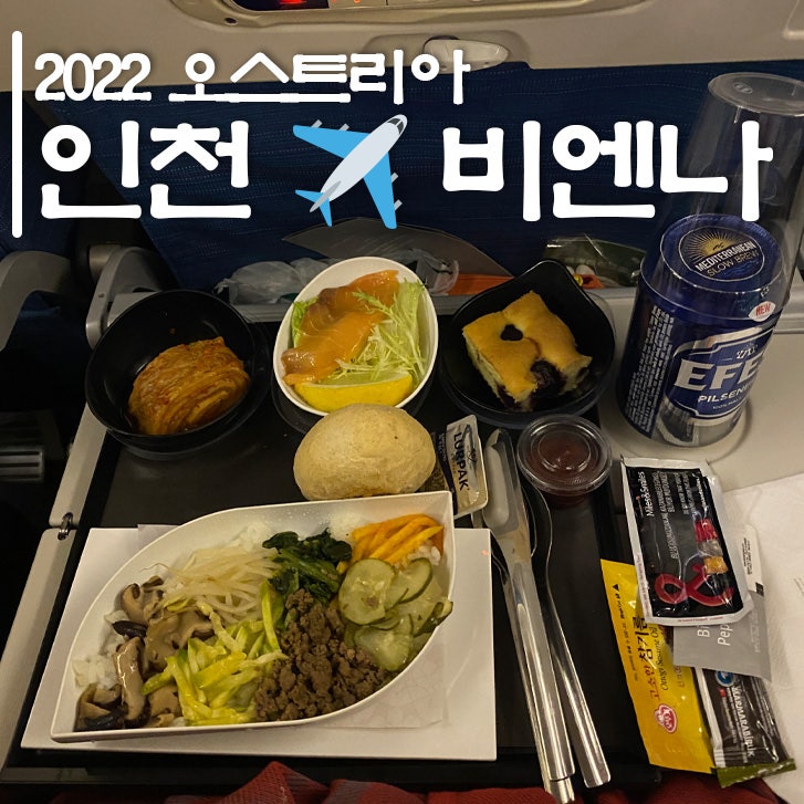  [인천에서 비엔나] 터키항공 TK091, TK1883 이스탄불 신공항 경유