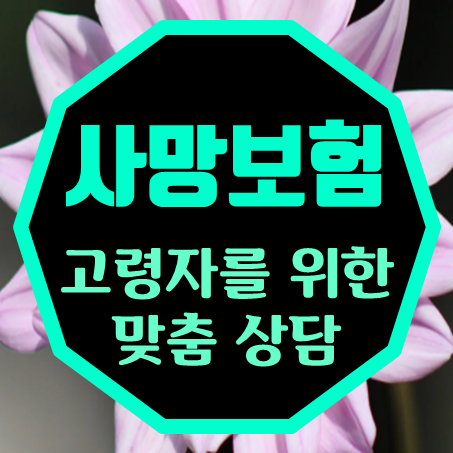  부모님사망보험 가입, 고령자를 위한 사망보험금 금액 확인해 보세요.