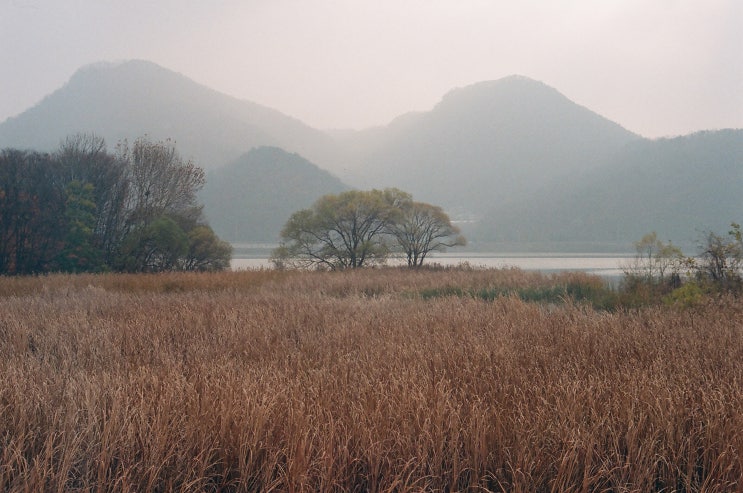  On a Trip Prologue