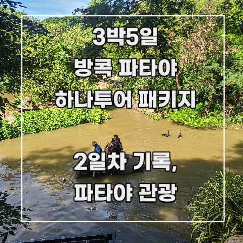  [3박 5일 방콕 파타야] 하나투어 패키지 5-2. 2일차 기록_ 파타야 : 몽창 카페, 타이 전통 마사지, MK 수끼, 빅 씨 마트, 알카자쇼(선택관광)