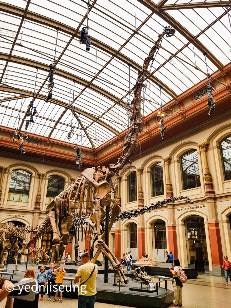  [독일] 아이와 가기 좋은 베를린 자연사박물관(Museum of Natural History)
