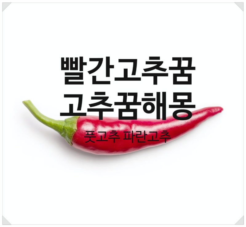 빨간고추꿈 큰고추 파란고추 풋고추 꿈해몽 의미 알아 보아요