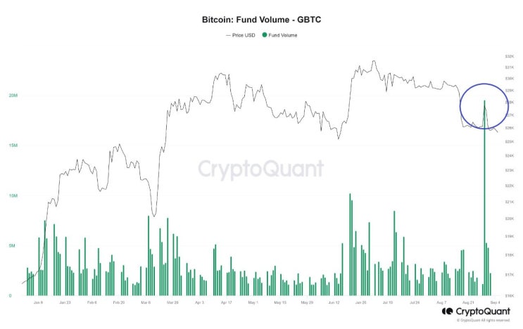  23년 8월 29일, Grayscale GBTC 거래량, 올해 최고치 달성