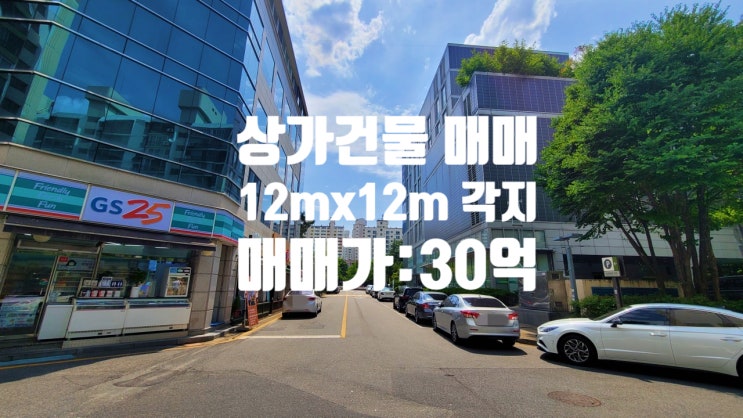  대전 상가 건물 매매 역세권, 대단지 아파트 앞 코너각지 주택 없고, 공실 없는 올근생 건물