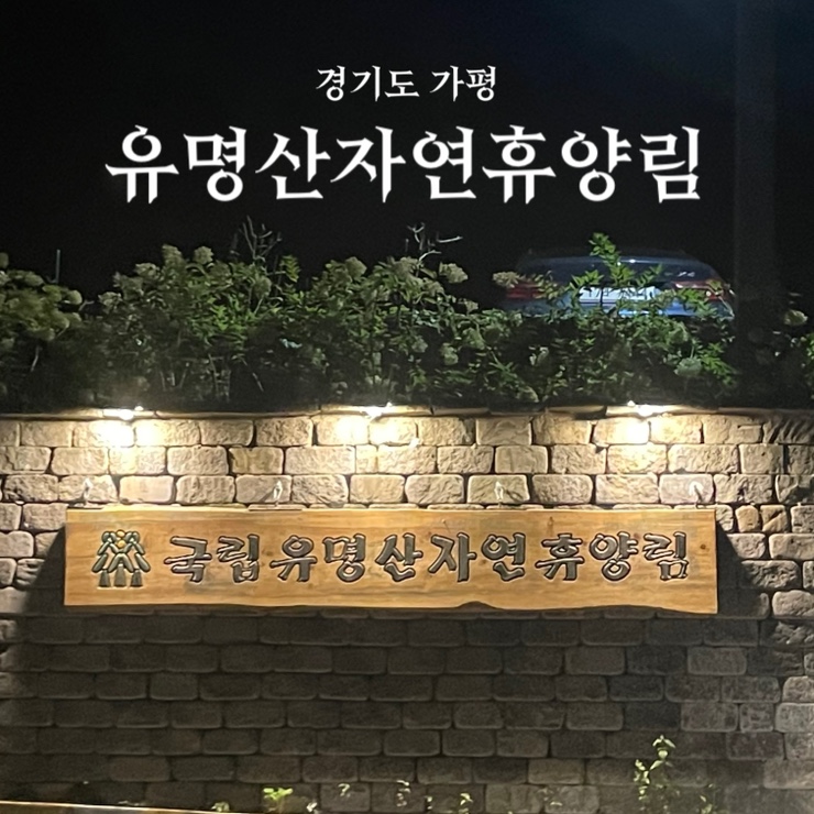  경기도 가평 유명산자연휴양림 :: 서울 근교 깔끔하고 규모가 큰 숲속 쉼터