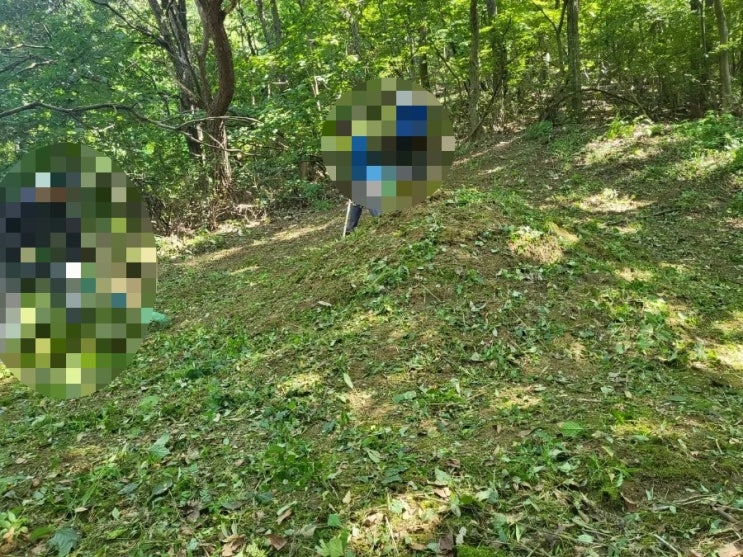  2023년 김천 봉산면 예지리 4기벌초 김천고인돌장의사