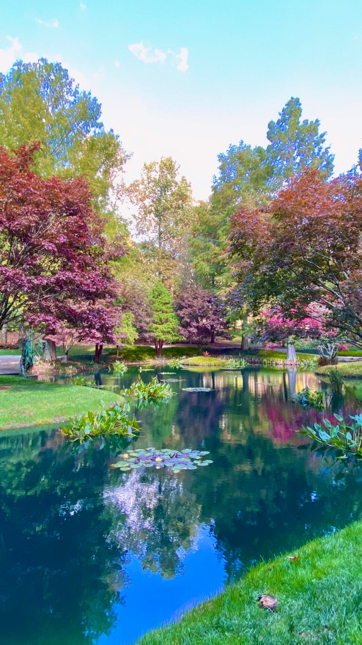  [Atlanta] 수채화 풍경에 풍덩!, Gibbs Gardens