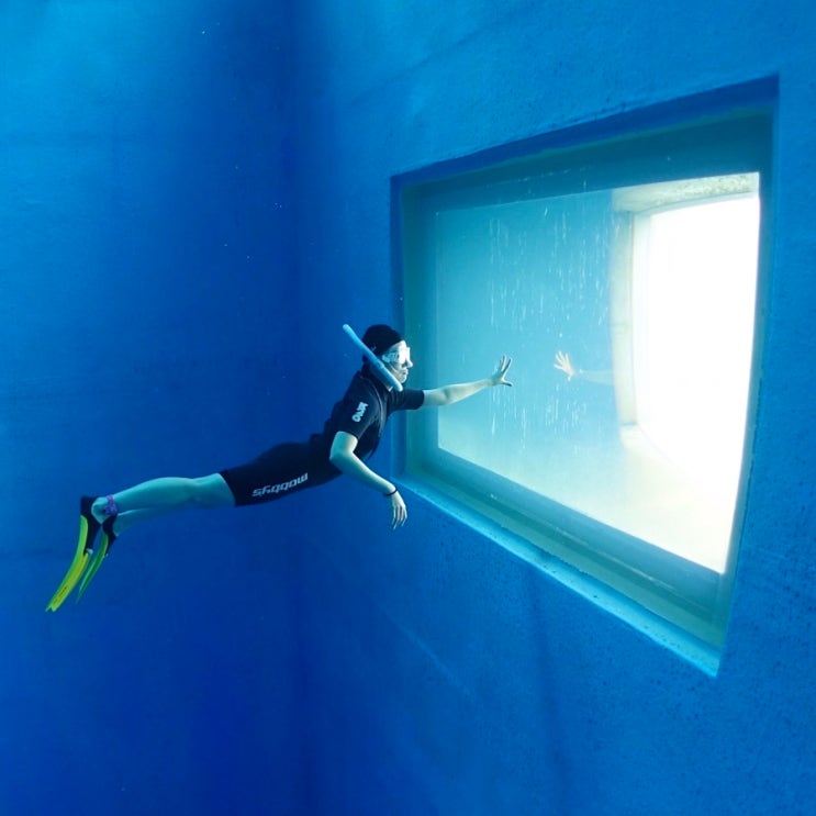가평 K26 잠수풀 프리다이빙 방문기 내부사진 수중샷