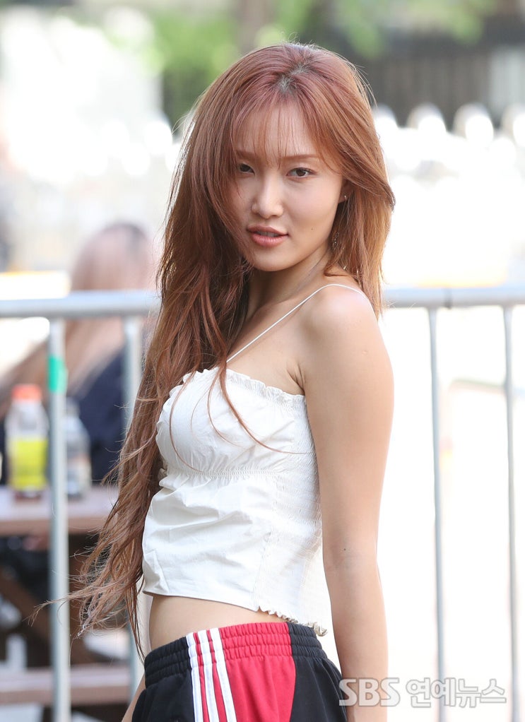화사, 크롭 뷔스티에로 드러낸 아랫배...치명적인 팜므파탈 매력 "힙하네" 화사, 크롭 뷔스티에로 드러낸 아랫배...치명적인 팜므파탈 매력 "힙하네"