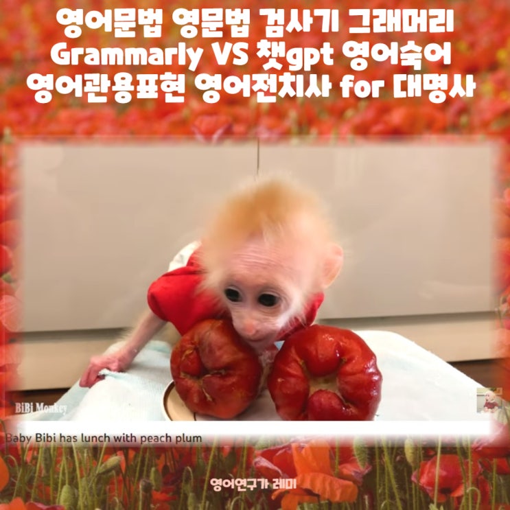 영어문법 영문법 검사기 그래머리 Grammarly VS 챗gpt 영어숙어 영어관용표현 영어전치사 for 대명사 소유격 목적격 자동사 타동사 영어문법 영문법 검사기 그래머리 Grammarly VS 챗gpt 영어숙어 영어관용표현 영어전치사 for 대명사 소유격 목적격 자동사 타동사