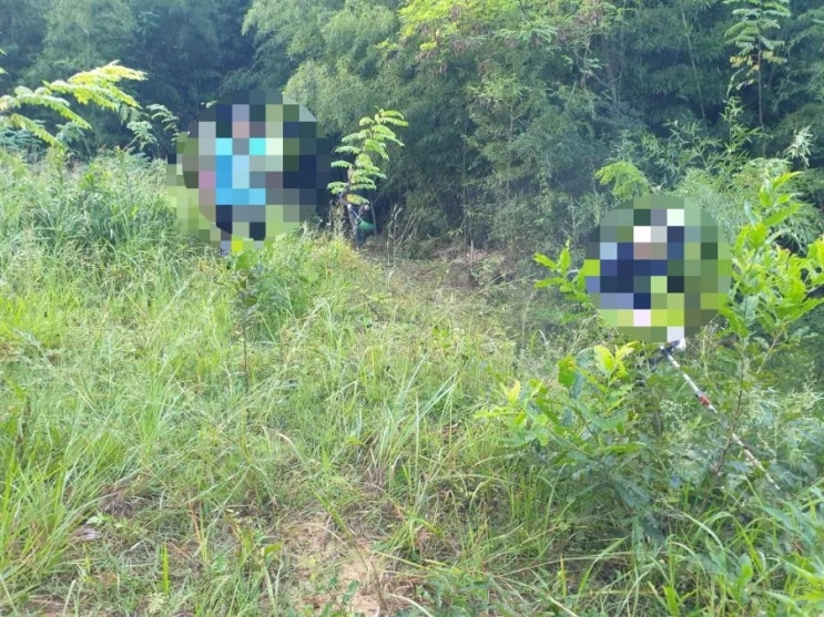  2023년 김천시 남면 운남리 혁신도시 27기 문중산 벌초 김천고인돌장의사