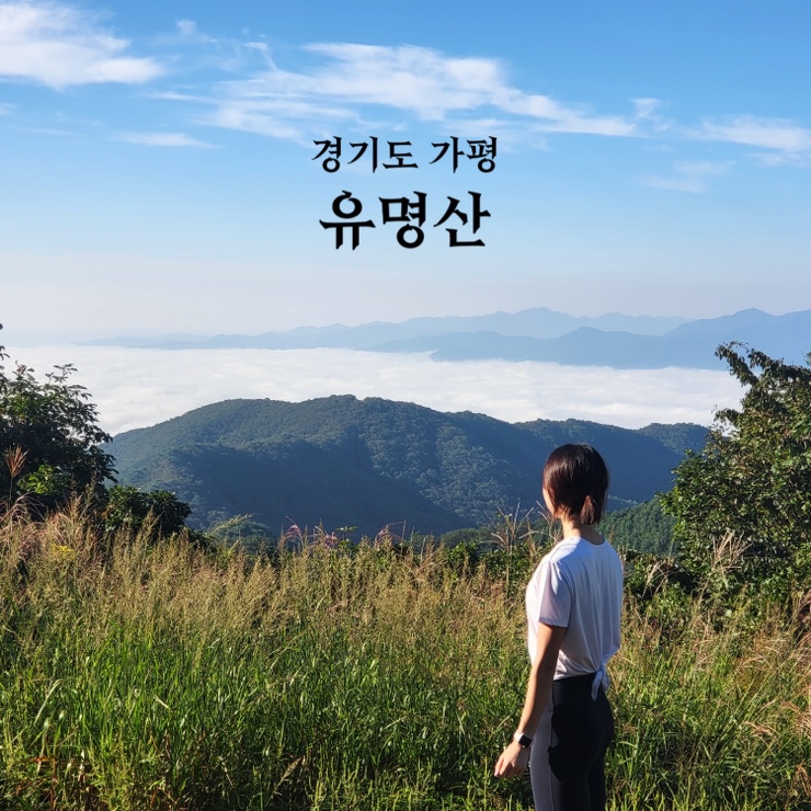  경기도 가평 유명산 등린이도 갈 수 있는 최단거리 등산 코스 :: 자연휴양림 출발~정상~유명계곡로