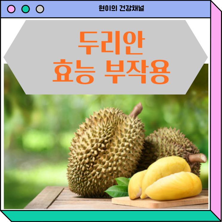  두리안 효능 맛 부작용 섭취량 보관방법