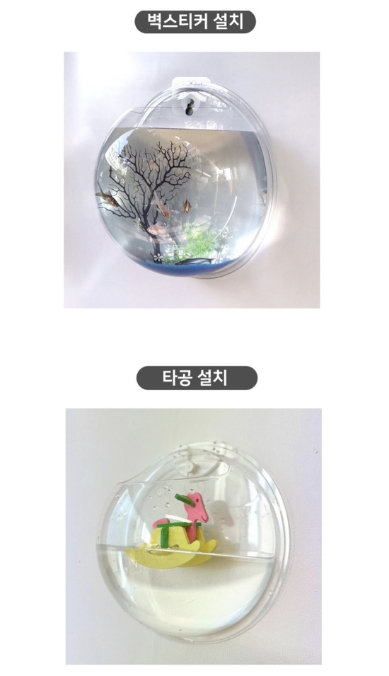  내가 모르고 있었던 인테리어팁 행운목 이쁘게 키우기 수경식물을 이용한 아트적인 소품 인테리어 (내돈내산)