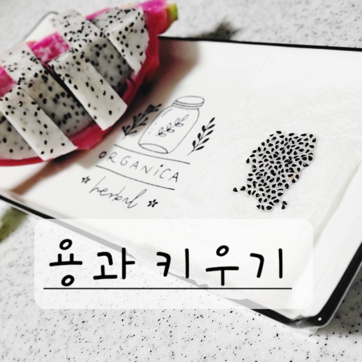  뒷북치는 선수입니다 용과 키우기