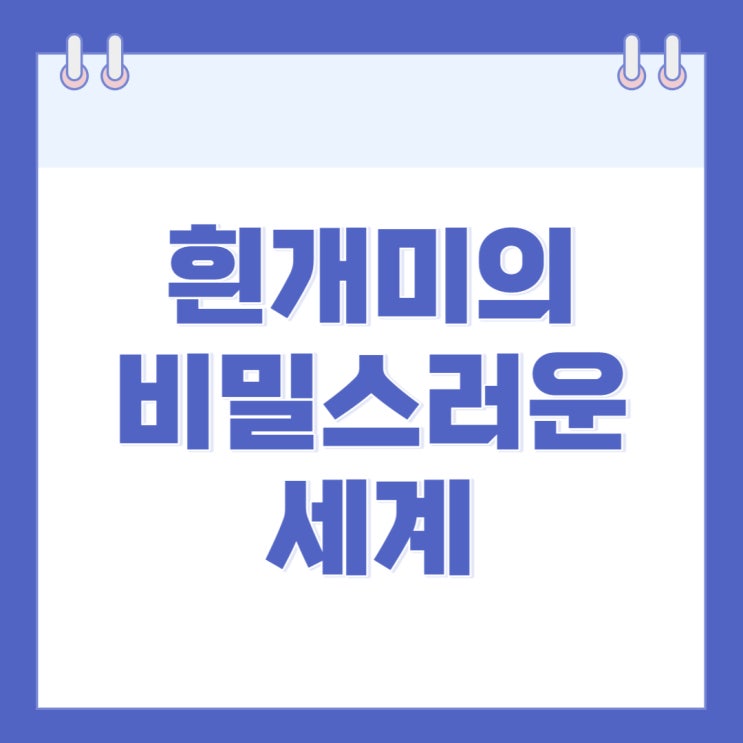  흰개미의 비밀스러운 세계