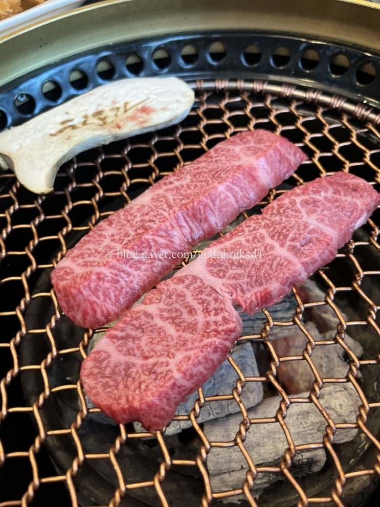 광주 소고기/ 최상급 한우 소고기 맛집 하도가 수완점,