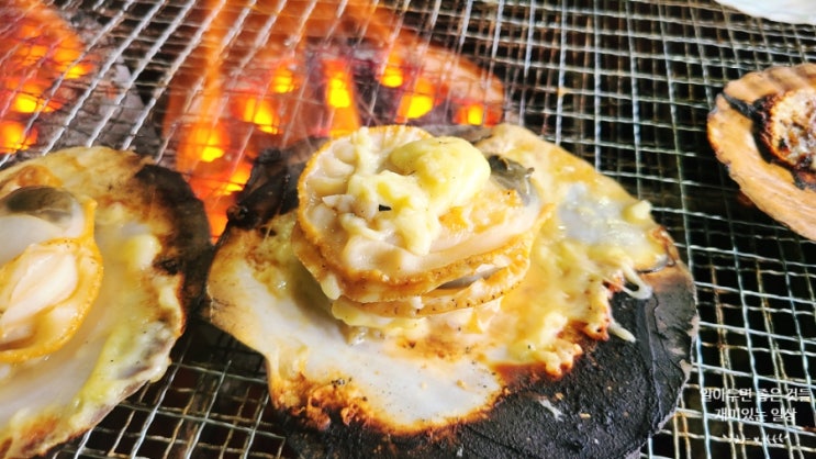 고성 백도수산 가리비 구이 속초 여행 중 만난 찐 인생 맛집