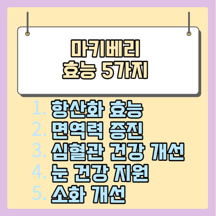  마키베리 효능 5가지 및 부작용 4가지 알기