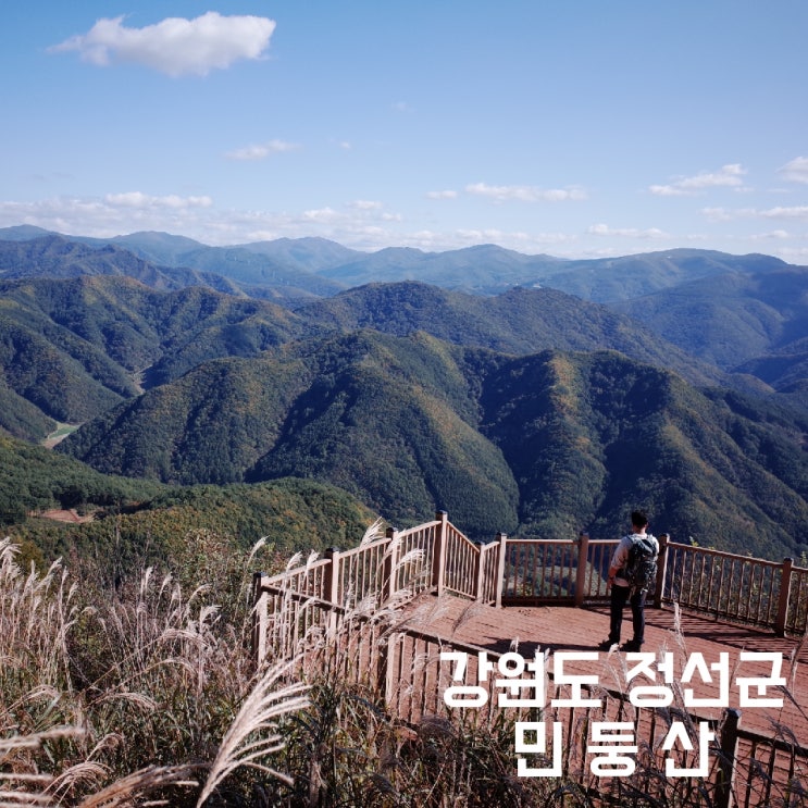 강원도 정선군] 민둥산 - 맑은 가을 하늘과 황금빛 벌판, 가을 등산의 꽃 민둥산