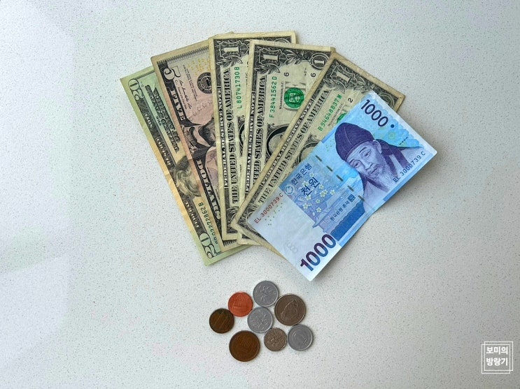  트래블 월렛(Travel Wallet) | 현직 승무원의 해외 여행카드 추천, 달러 인출
