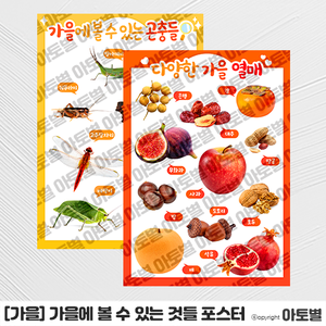  어린이집 가을 환경구성, 가을 곤충 포스터, 가을 열매 포스터, 가을 과일 포스터, 가을 곤충 실사 벽보, 가을 열매 실사 벽보, 가을 과일 실사 벽보, 유아 교육 포스터
