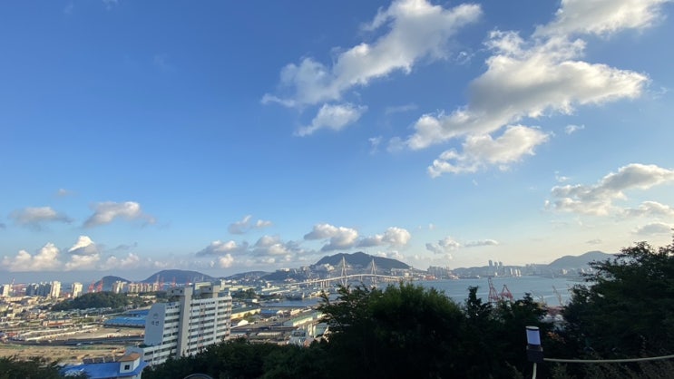  부산 여행 코스 추천 부산의 라라랜드 우암동 도시숲