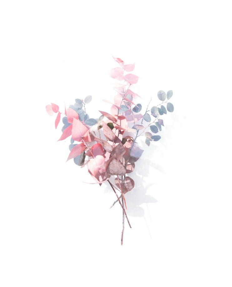  시가 말하는 세상의 아름다움__ 사랑, 나선형으로 말하기 (ft.고명재의 사랑하는 시)