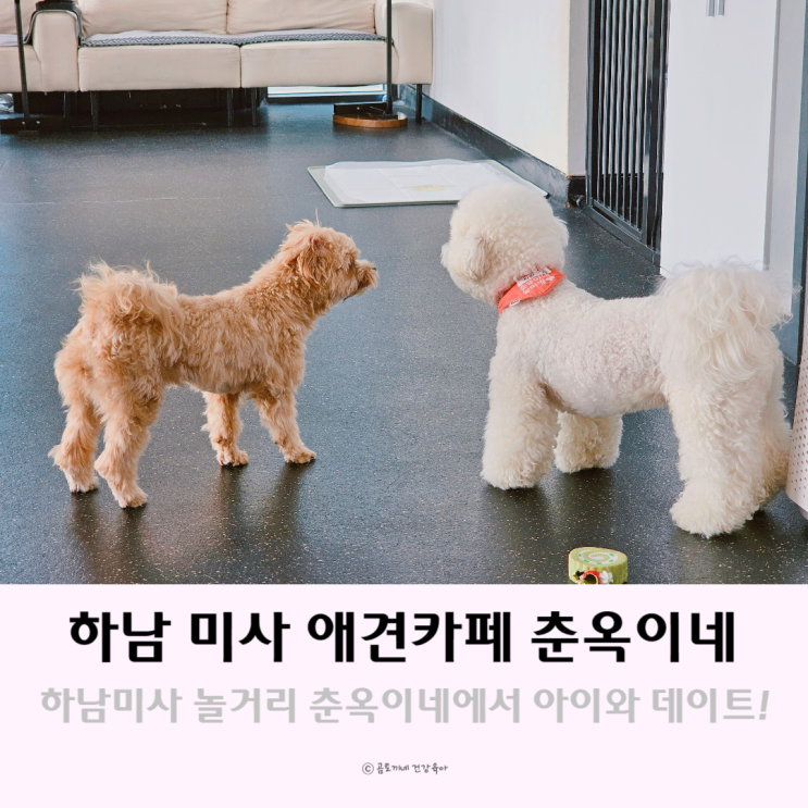 하남 미사 놀거리 춘옥이네에서 아이와 데이트 하남 미사 놀거리 춘옥이네에서 아이와 데이트