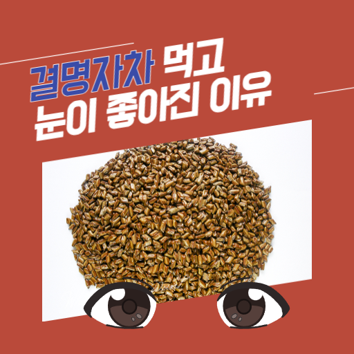  눈이 안 좋은 사람들은 다 먹는다는 '결명자차'