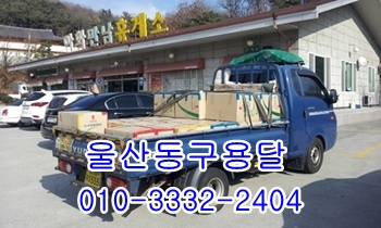 울산동구용달 방어진 정자 양남 양북 감포 울릉도.