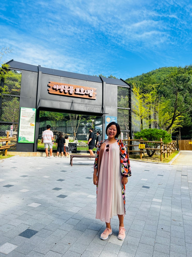  청주랜드 동물원 | 입장료 사자 바람이 청주 갈만한 곳 놀거리 맛집 오토바이 서울근교 당일치기