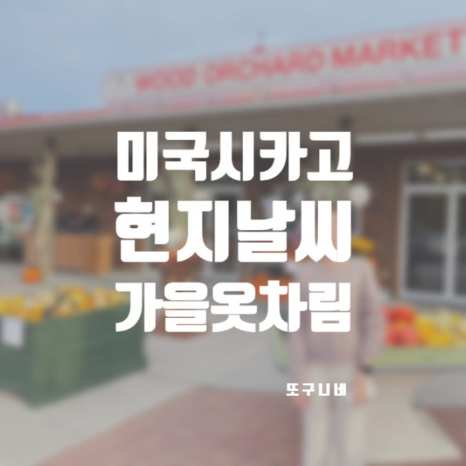  시카고 날씨 10월 11월 가을 미국 Chicago 여행 옷차림