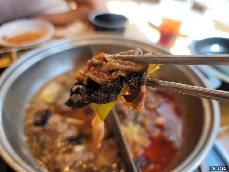  경남 김해 율하2지구 맛집 ㅣ 신선한 식재료에 다양한 요리가 있는 장유 샤브샤브 맛집 샤브20 방문기