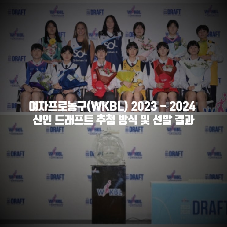 <b>여자</b>프로<b>농구</b>(WKBL) 2023 - 2024 신인 <b>드래프트</b> 추첨 방식, 참가... 