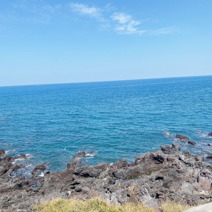  제주도 여행일기 - 수,목 바다가 보이는 날