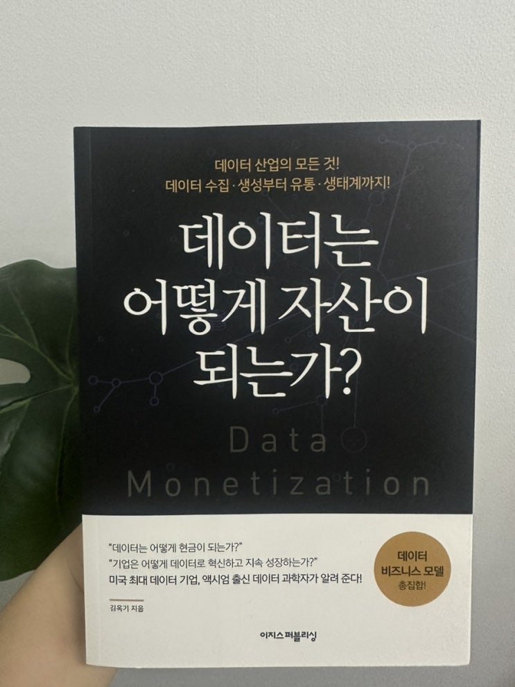  데이터는 어떻게 자산이 되는가? <김옥기>