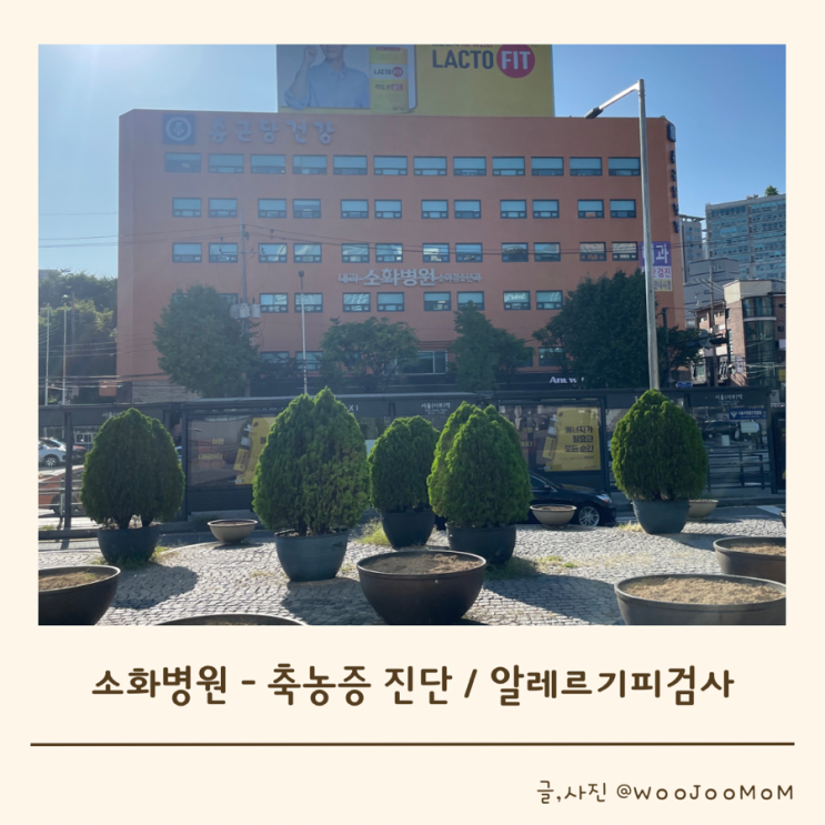  21개월 아이 오래된 감기인 줄 알았는데 축농증, 폐렴으로 진단, 알레르기 검사 가능한 소화병원 소아과
