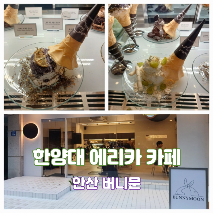 한양대 에리카 카페 버니문 안산 신상 핫플 디저트 맛집 한양대 에리카 카페 버니문 안산 신상 핫플 디저트 맛집