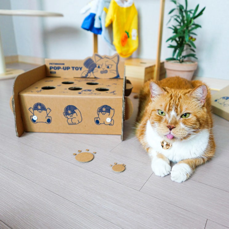  움직이는 고양이 장난감 사냥 본능 깨워주는 페스룸 두더지 잡기